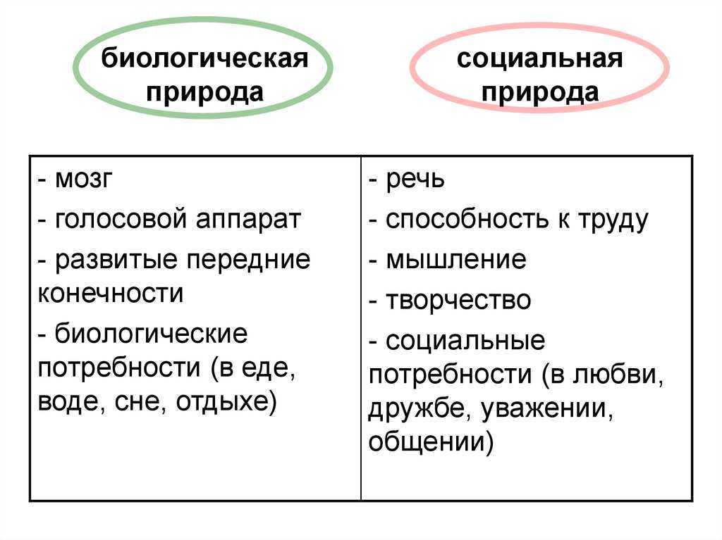 Гдз по биологии 8 класс рабочая тетрадь пасечник
