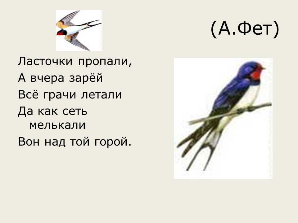 Анализ стихотворения ласточки пропали… фета