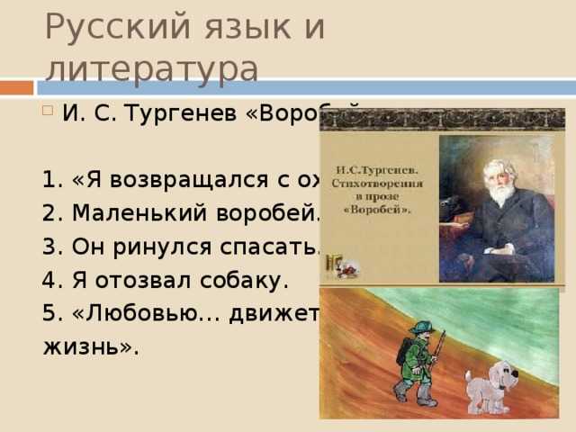 Комплексный анализ текста (и.с. тургенев «воробей») план-конспект урока по русскому языку (8 класс) на тему