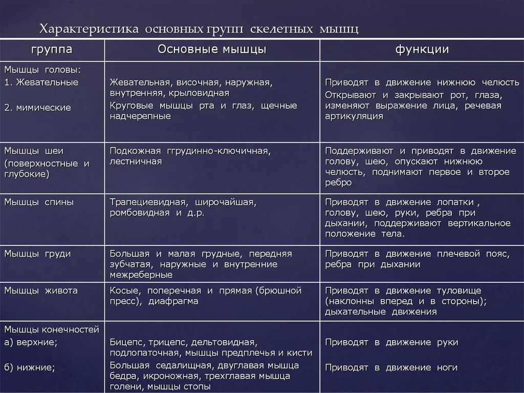 Гдз по биологии 8 класс учебник пасечник, суматохин, гапонюк