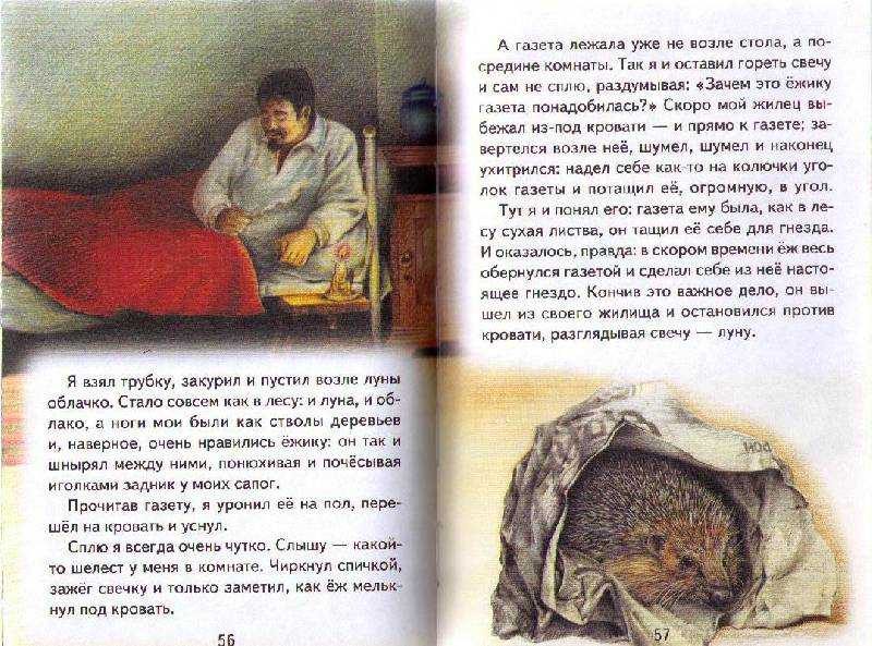 Как заполнить читательский дневник книгой "лягушонок" н.с. пришвина: советы и примеры