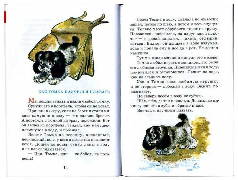 Большие и маленькие - чарушин е.и. рассказ про животных и детенышей