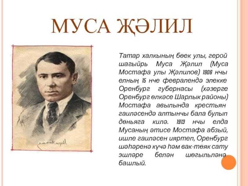 Краткое содержание бианки снежная книга за 2 минуты пересказ сюжета - киц г.севастополь | культурно-информационный центр