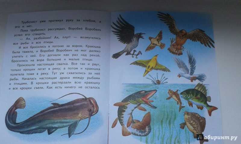 «свинопас» читательский дневник