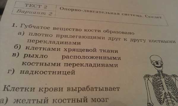 Травматизм. биология 8 классинтерактивные задания и упражнения