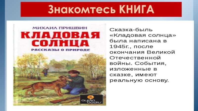 «кладовая солнца» для читательского дневника: анализ и краткий пересказ, основная мысль