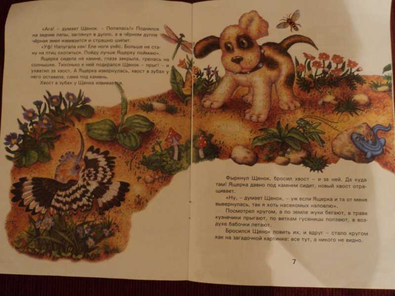 Первая охота (книга)