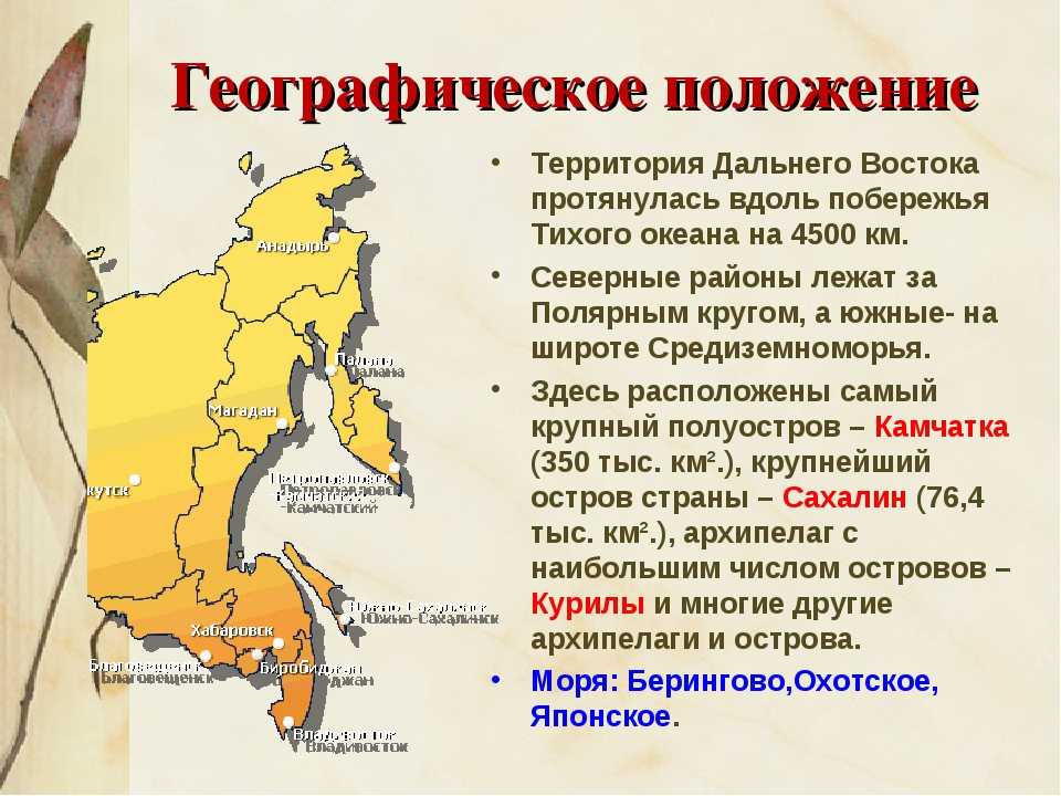 Дальний восток россии: география 8 класс, моря и океаны, омывающие территорию