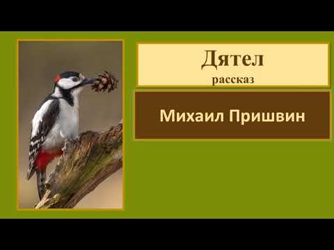 Краткое изложение рассказа михаила пришвина «выскочка» с отзывом для читательского дневника