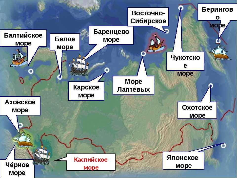 Какие моря омывают россию? акватория морей в россии