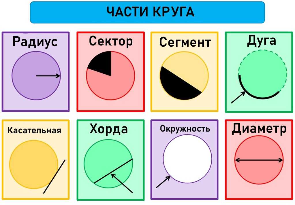 Окружность и круг - умскул учебник