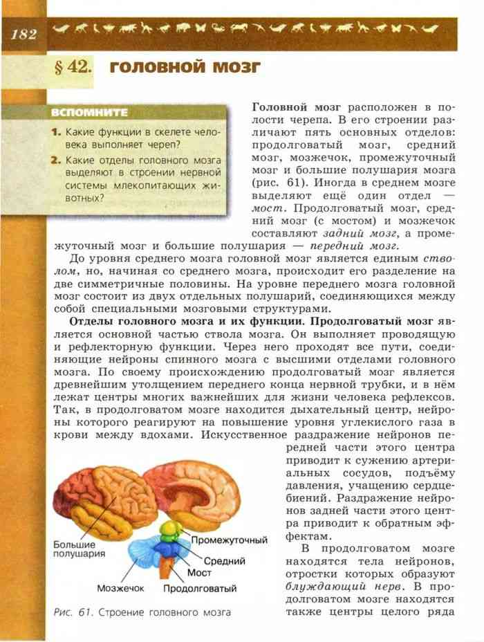 Биология пасечник учебник §14