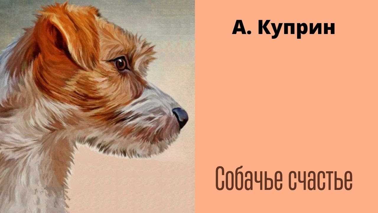 Мир животных куприна а.и. главные герои рассказа куприн а и собачье счастье история создания