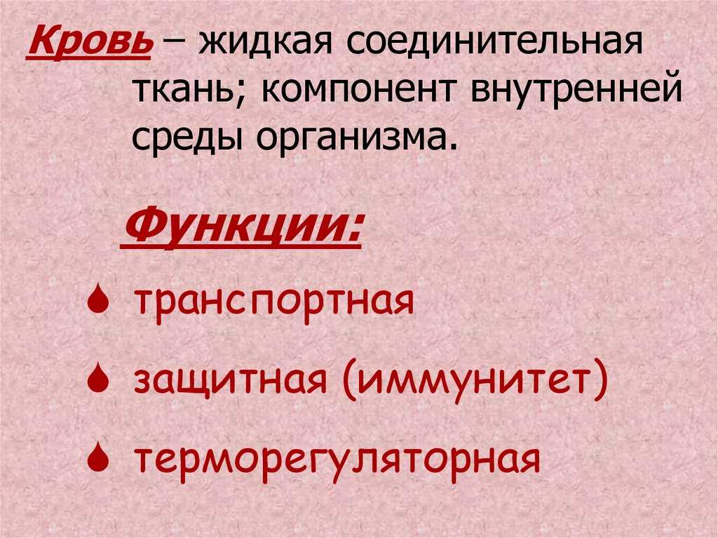 § 27. всасывание питательных веществ в кровь