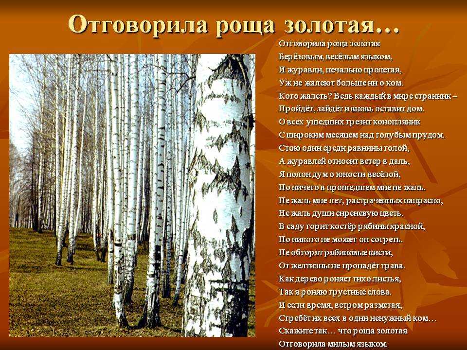 Анализ романса отговорила роща золотая. стихотворение «отговорила роща золотая…» с.а