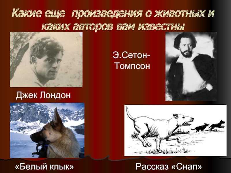 Эрнест сетон томпсон, «снап»: краткое содержание"