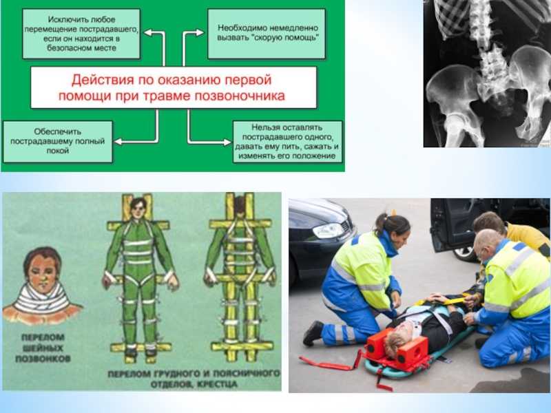 Биология пасечник учебник §8 | 7 класс онлайн