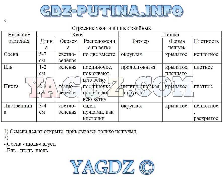 Гдз по биологии 8 класс учебник пасечник, суматохин, гапонюк