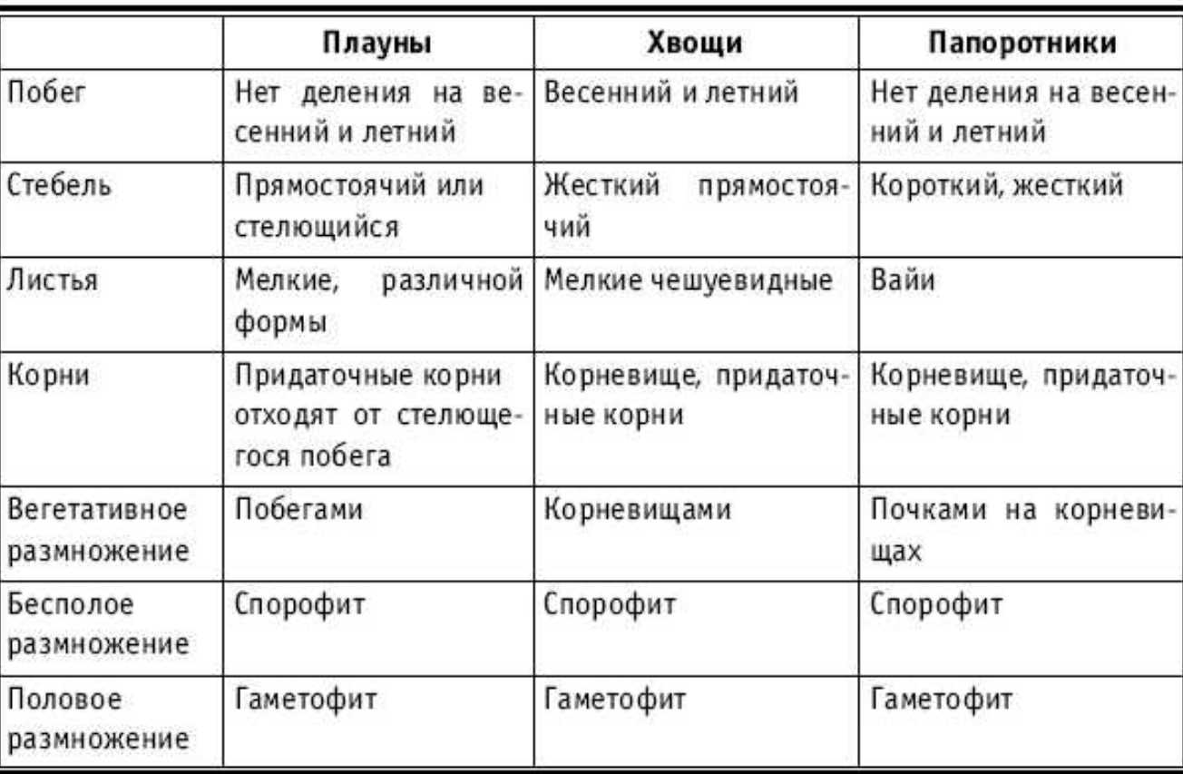 Основные отделы растений. особенности строения и жизнедеятельности.