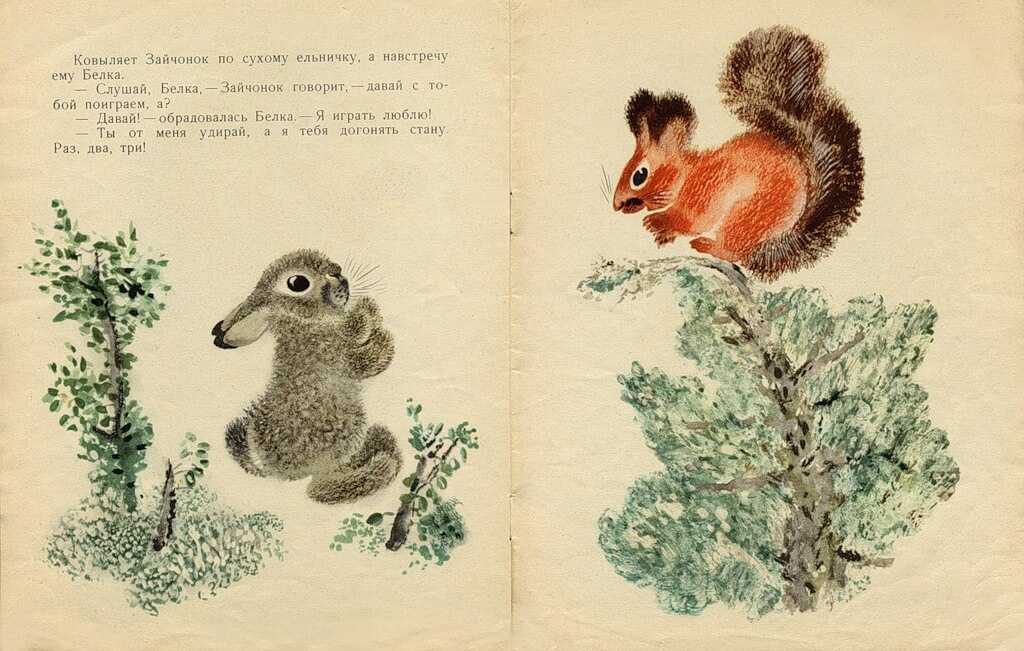 «никита и его друзья» — читательский дневник по рассказам е. чарушина