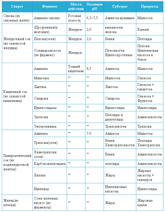 Гдз по биологии 8 класс учебник пасечник, суматохин, гапонюк
