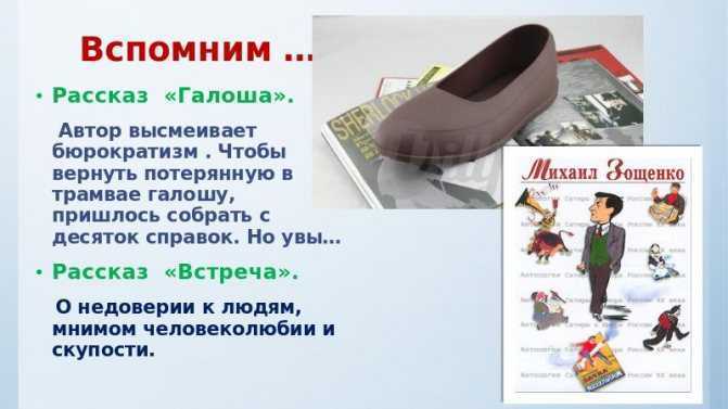 «елка» краткое содержание для читательского дневника по сказке зощенко (1 класс) – что понравилось, отзыв, главная мысль