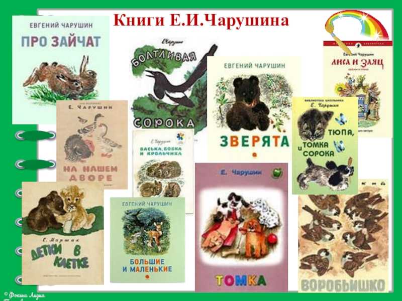 Готовый читательский дневник 1 класс е чарушин — мир адвоката