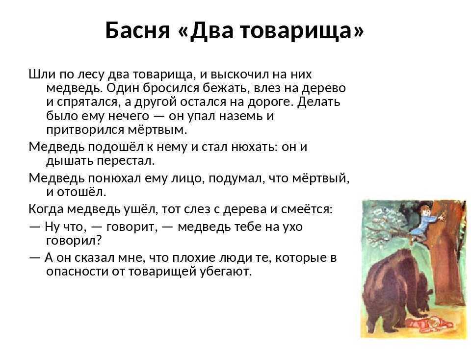 Лебеди — толстой л.: слушать, читать онлайн. читательский дневник. рисунок