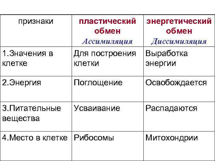 Гдз §24. пластический обмен: биосинтез белков к учебнику биология 10 класс линия жизни, пасечник
