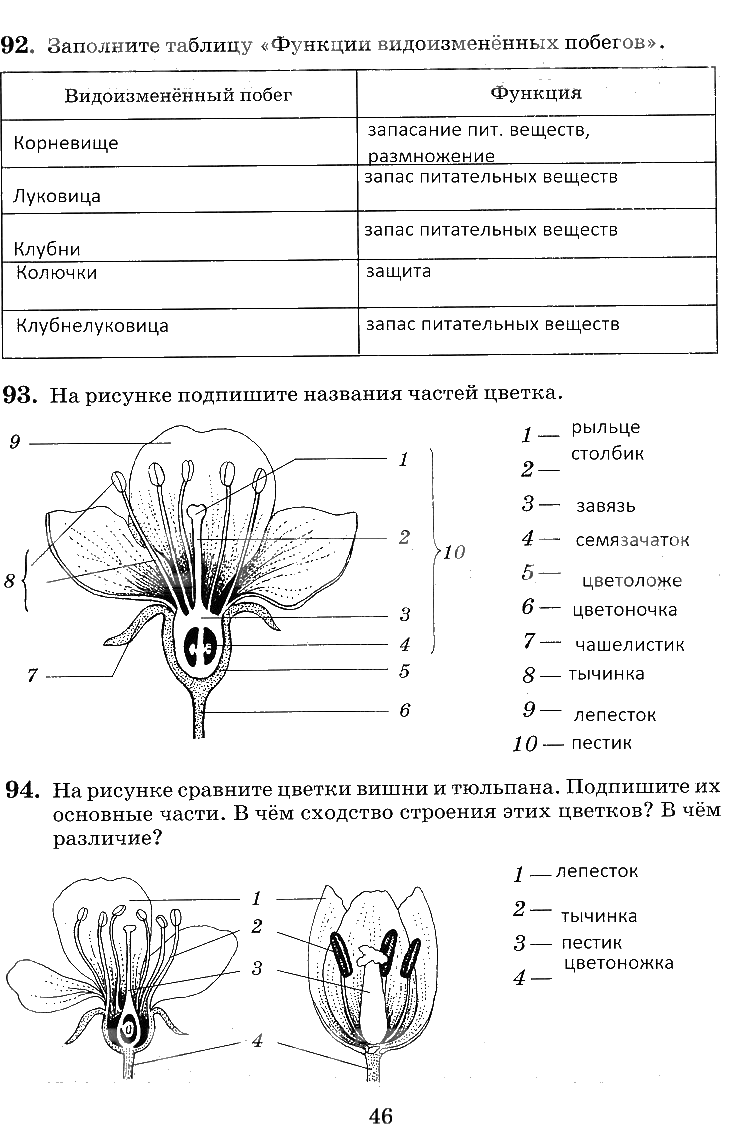 Биология 8 класс. пасечник