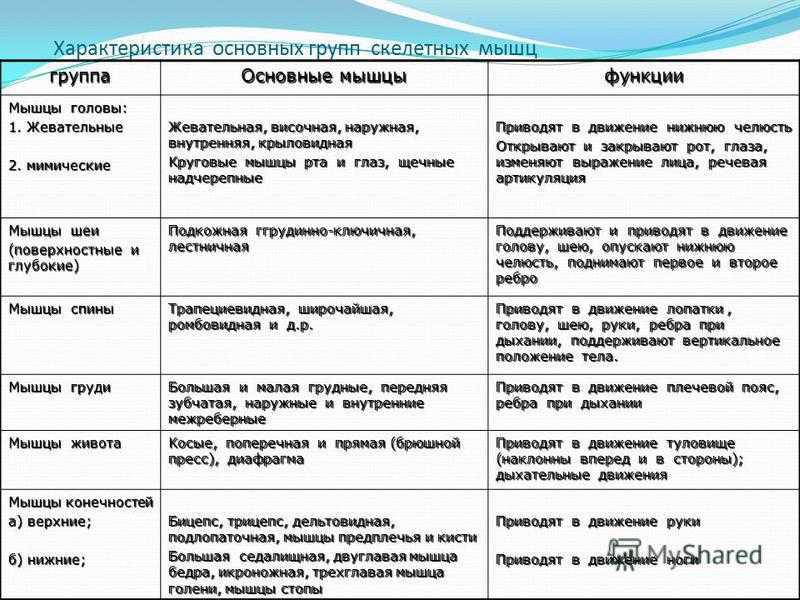 Гдз по биологии 8 класс лисов, рабочая тетрадь аверсэв 2022