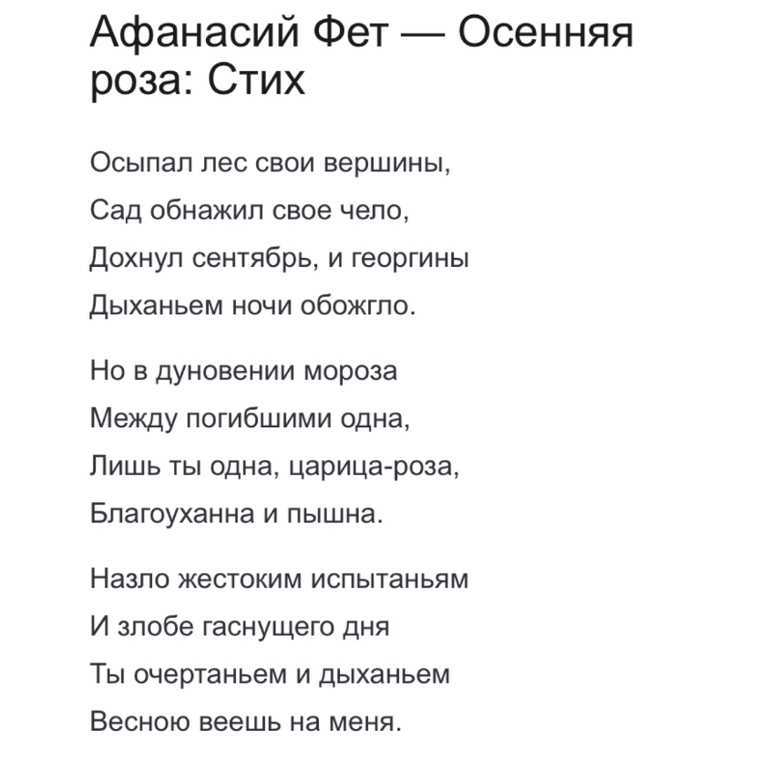 Анализ стихотворения фета осенняя роза. «осенняя роза» а