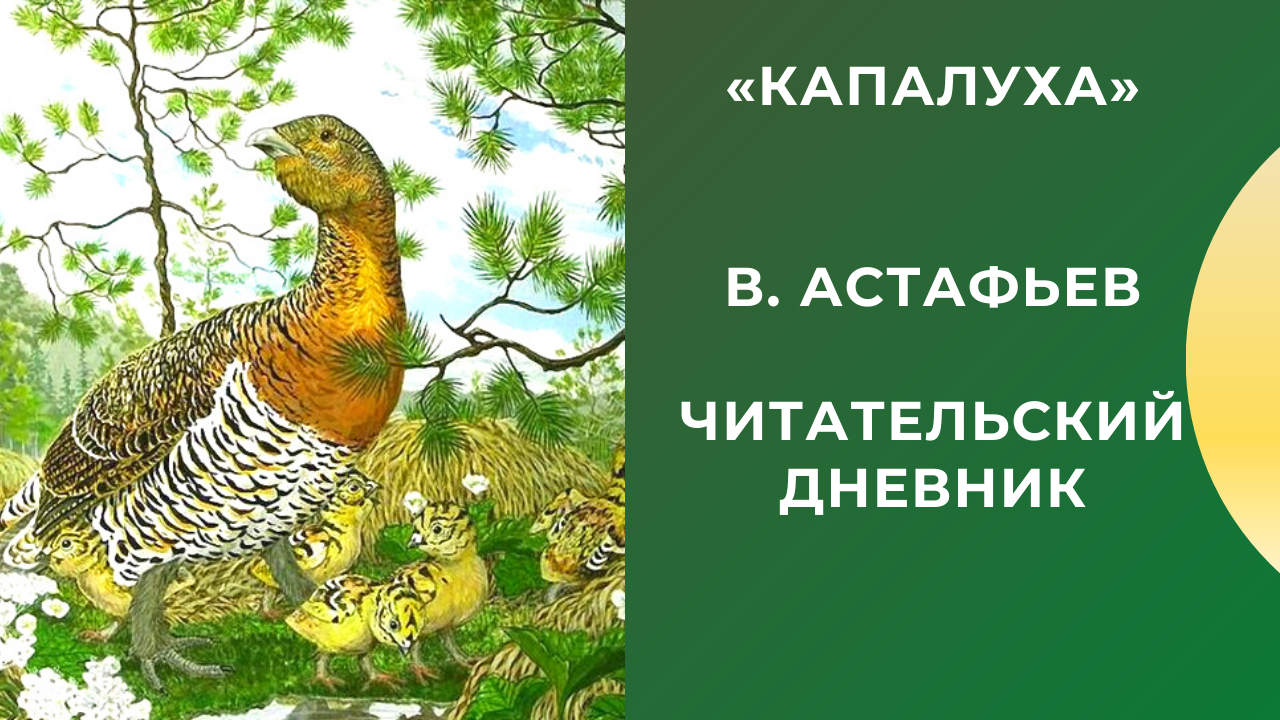 В. астафьев. капалуха, с. 70 – 72 |  развивайка