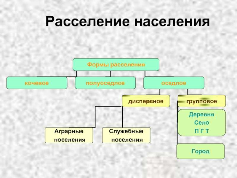 Население ⭐ мира: географическое описание и основные характеристики