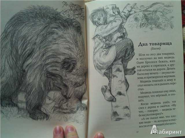 Сказка "гуси-лебеди", разбор для читательского дневника