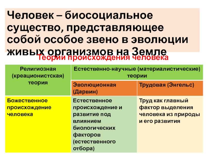 Эрнст кассирер: человек в сетях культуры — моноклер