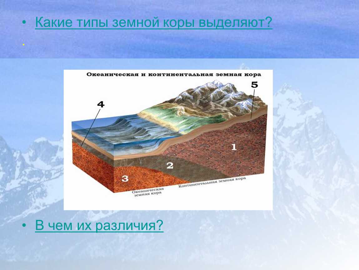 Что представляет земная кора нашей планеты