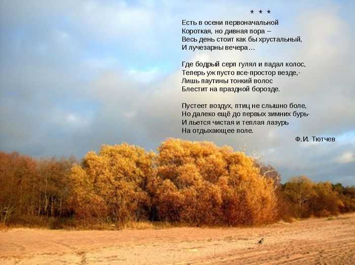 Анализ стихотворения ф.тютчева «есть в осени первоначальной…