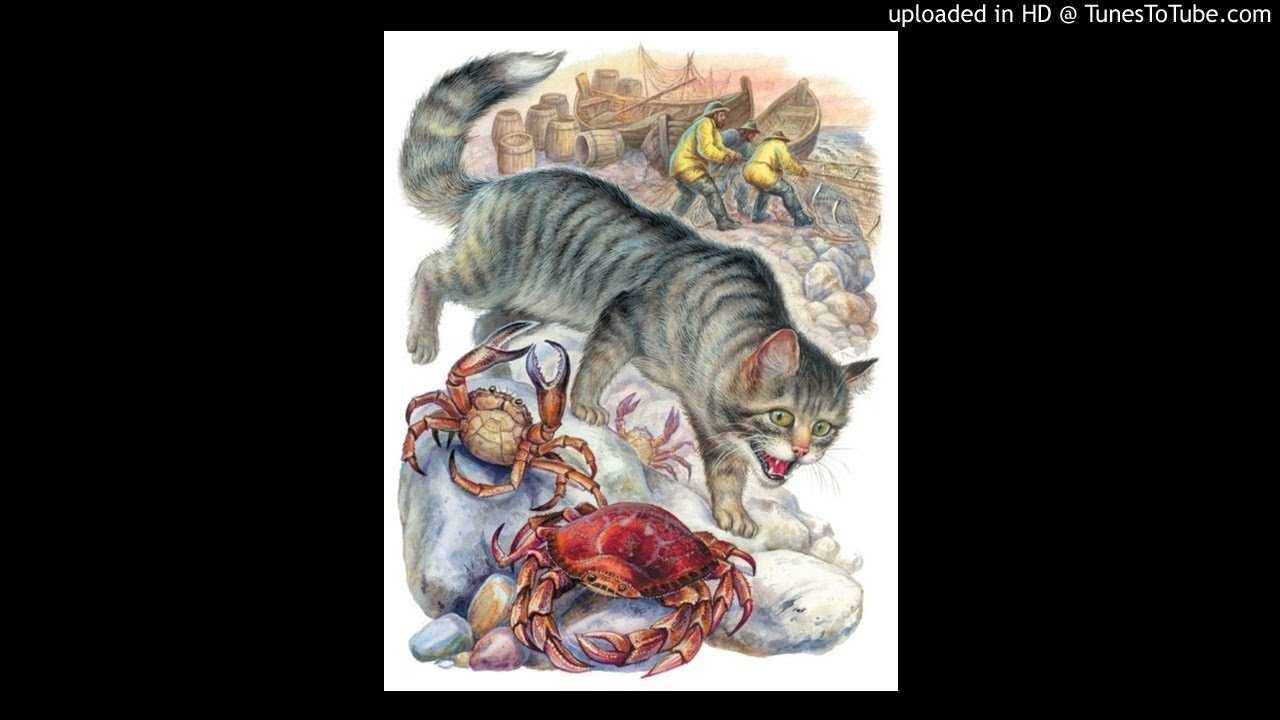 Беспризорная кошка (сборник). с вопросами и ответами для почемучекборис житков, 2021
