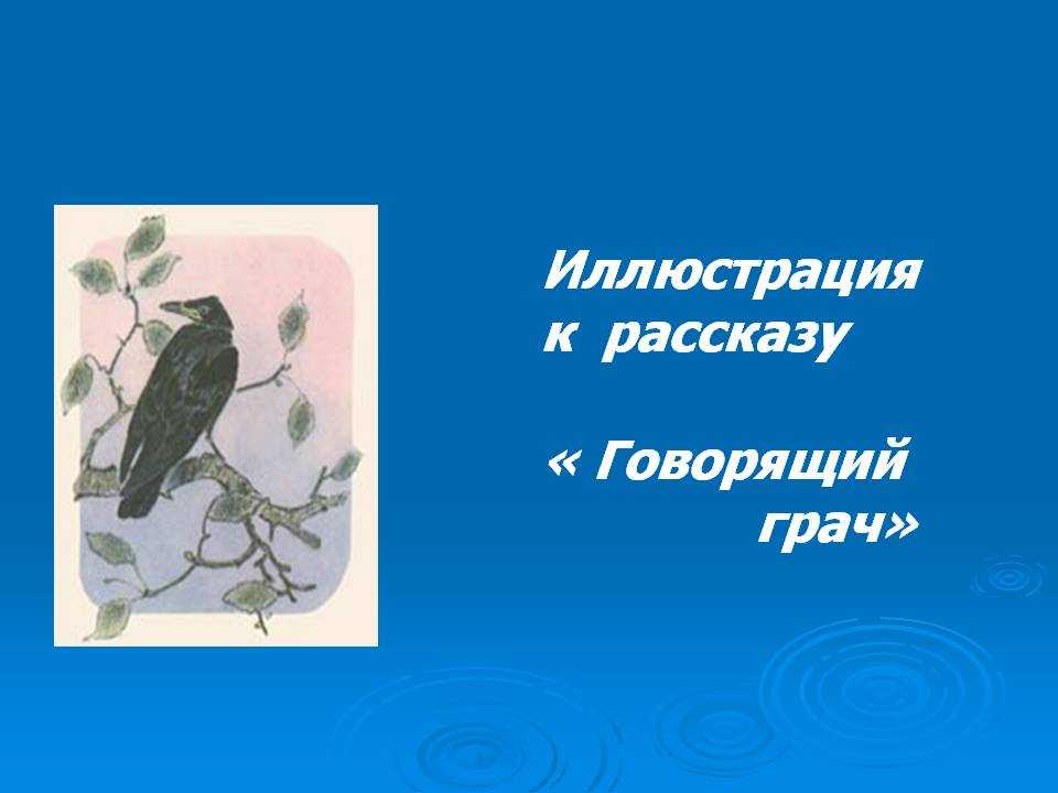 Пришвин говорящий грач краткое содержание. михаил пришвин - говорящий грач