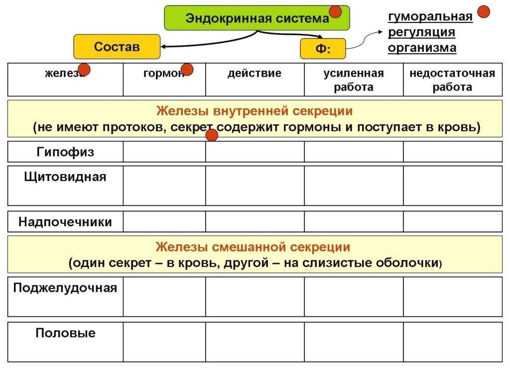 Гдз биология 8 класс пасечник, швецов - рабочая тетрадь