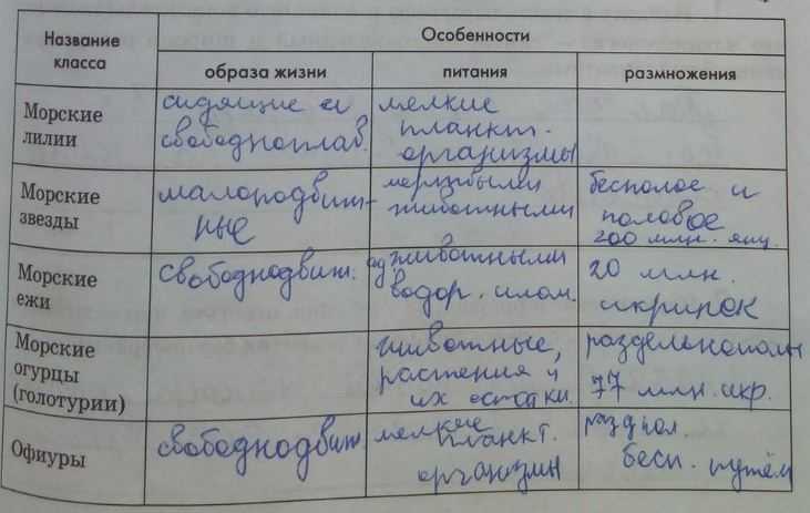 Урок 8: моллюски - 100urokov.ru