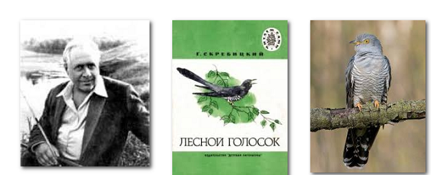 Рассказ «лесной голосок»